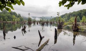 دریاچه ممرز