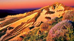 کوه دالامپر