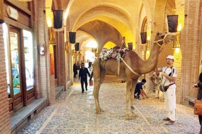 جهانگرد هرمزگانی و دور دنیا با شتر!