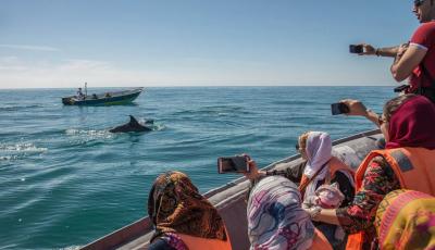 با انواع گردشگری یا توریسم آشنا شویم (قسمت دوم)