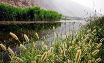 تالاب امامزاده پیرسلمان