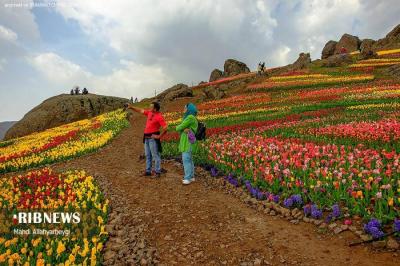 درهای باغ لاله کندر دوباره به روی گردشگران باز شد