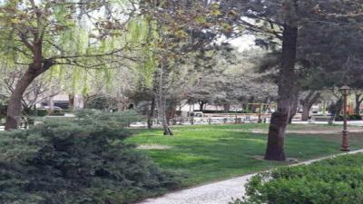 Narges Park