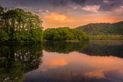 کنوانسیون بین المللی رامسر 