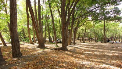 پارک جنگلی چیتگر