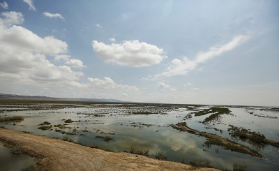 تالاب بند علی خان