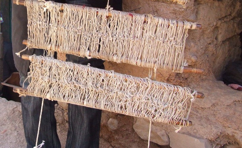 ورد پنبه ای